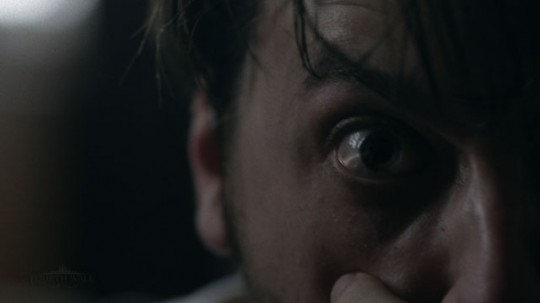 Creators talk “The Swarming”
